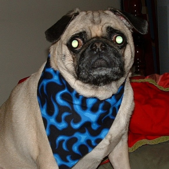 Meet your Posher, Angela - Picture 1 of 1